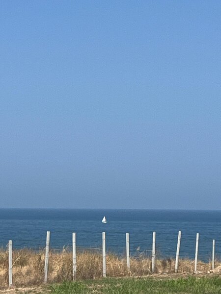 Eforie Sud